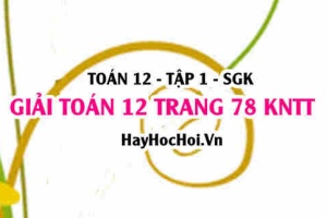 Giải Toán 12 trang 78 tập 1 Kết nối tri thức
